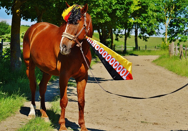 杨瀚森一战登顶热搜，7词条百万搜索，韩乔生：天赋一览无余